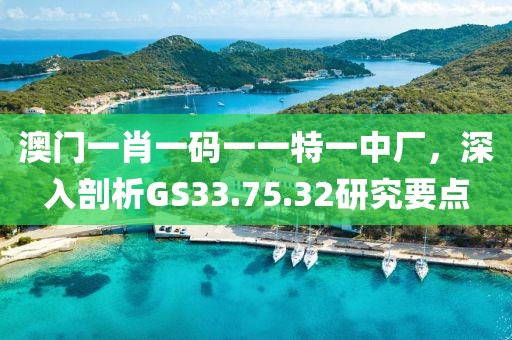 澳门一肖一码一一特一中厂，深入剖析GS33.75.32研究要点