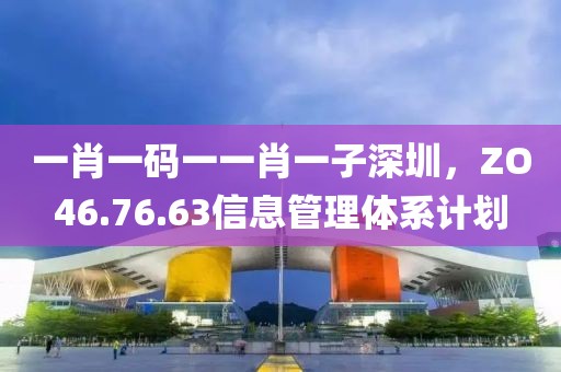一肖一码一一肖一子深圳，ZO46.76.63信息管理体系计划
