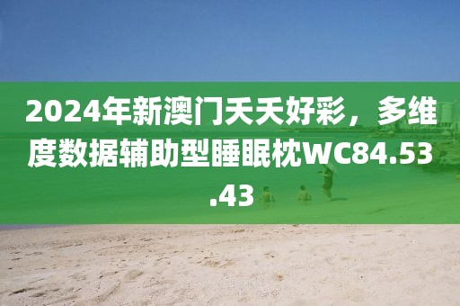 2024年新澳门夭夭好彩，多维度数据辅助型睡眠枕WC84.53.43