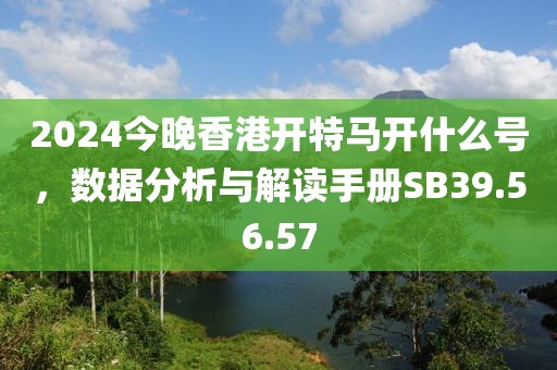 2024今晚香港开特马开什么号，数据分析与解读手册SB39.56.57