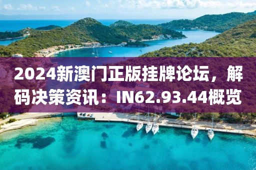 2024新澳门正版挂牌论坛，解码决策资讯：IN62.93.44概览