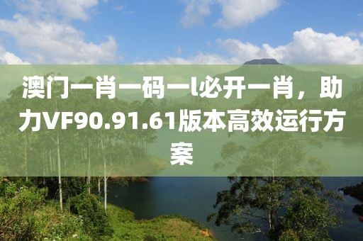 澳门一肖一码一l必开一肖，助力VF90.91.61版本高效运行方案