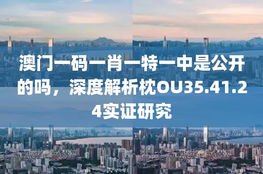 澳门一码一肖一特一中是公开的吗，深度解析枕OU35.41.24实证研究
