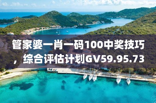 管家婆一肖一码100中奖技巧，综合评估计划GV59.95.73