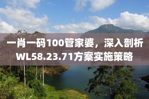 一肖一码100管家婆，深入剖析WL58.23.71方案实施策略