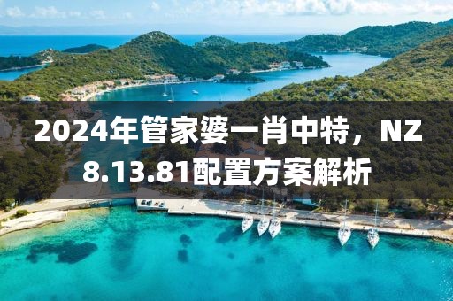 2024年管家婆一肖中特，NZ8.13.81配置方案解析