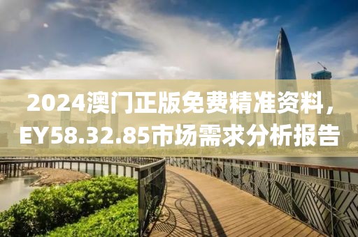 2024澳门正版免费精准资料，EY58.32.85市场需求分析报告