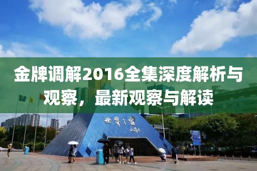 金牌调解2016全集深度解析与观察，最新观察与解读