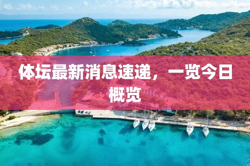 体坛最新消息速递，一览今日概览