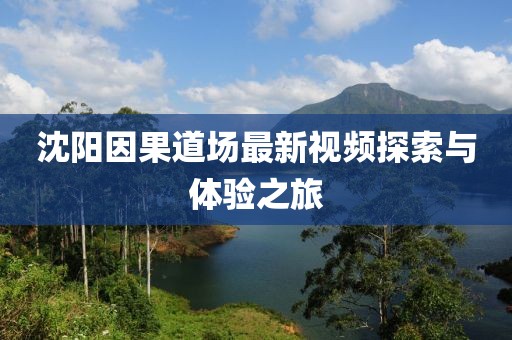 沈阳因果道场最新视频探索与体验之旅