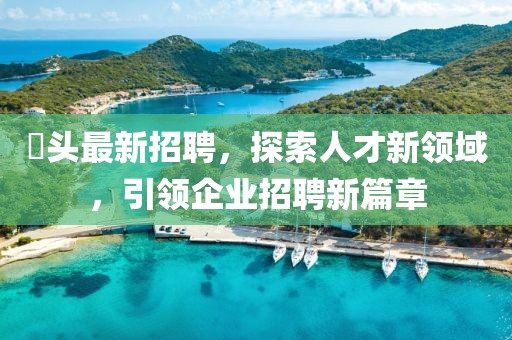 琯头最新招聘，探索人才新领域，引领企业招聘新篇章