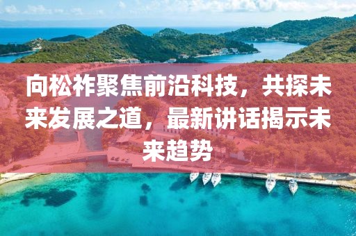 向松祚聚焦前沿科技，共探未来发展之道，最新讲话揭示未来趋势