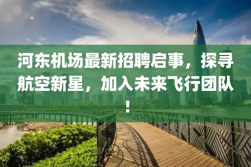 河东机场最新招聘启事，探寻航空新星，加入未来飞行团队！