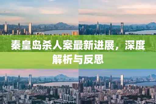 秦皇岛杀人案最新进展，深度解析与反思