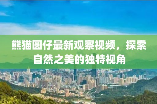 熊猫圆仔最新观察视频，探索自然之美的独特视角