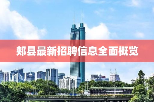 郏县最新招聘信息全面概览