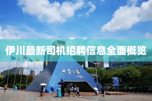 伊川最新司机招聘信息全面概览