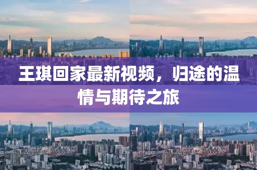 王琪回家最新视频，归途的温情与期待之旅