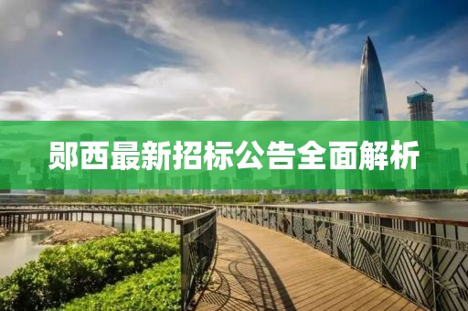 郧西最新招标公告全面解析