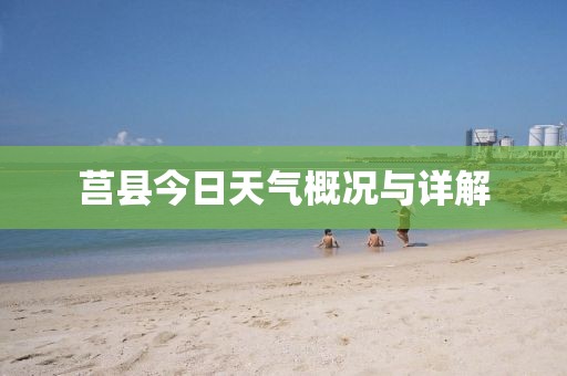 莒县今日天气概况与详解