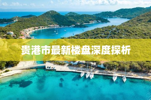 贵港市最新楼盘深度探析