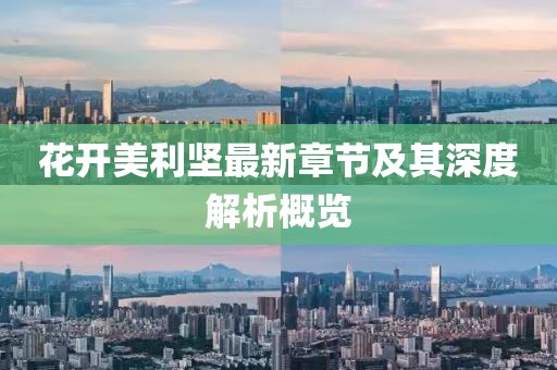 花开美利坚最新章节及其深度解析概览
