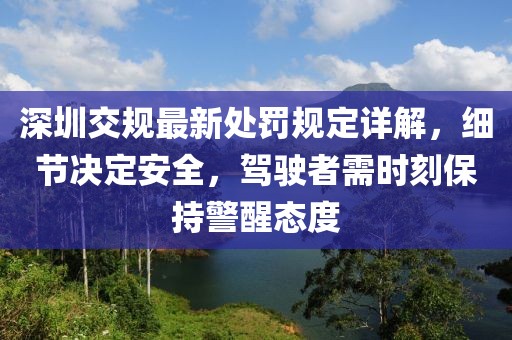 深圳交规最新处罚规定详解，细节决定安全，驾驶者需时刻保持警醒态度