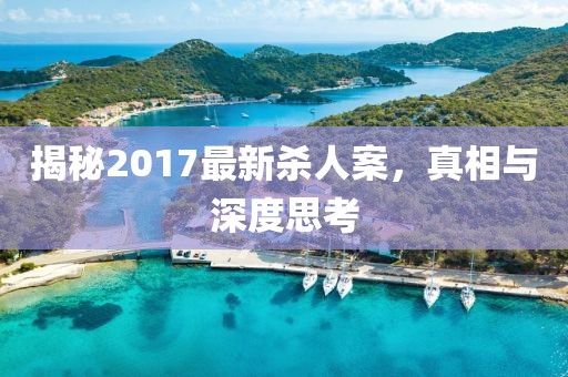 揭秘2017最新杀人案，真相与深度思考