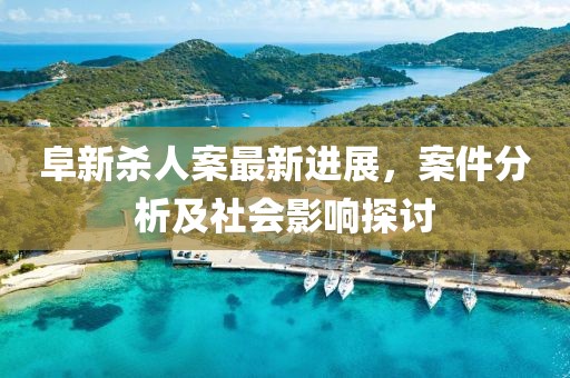 阜新杀人案最新进展，案件分析及社会影响探讨
