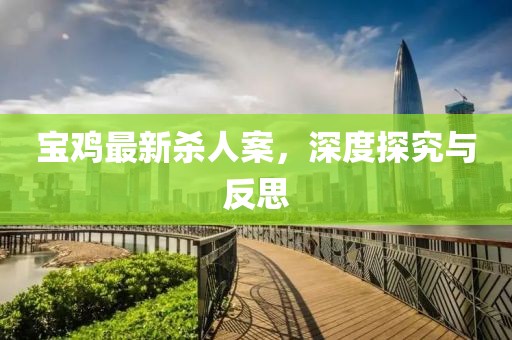宝鸡最新杀人案，深度探究与反思
