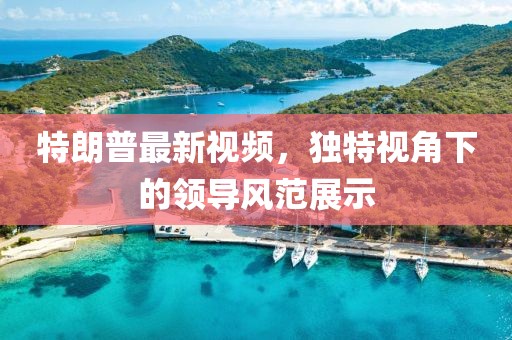 特朗普最新视频，独特视角下的领导风范展示