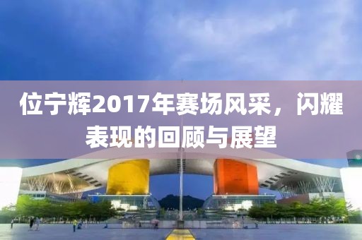 位宁辉2017年赛场风采，闪耀表现的回顾与展望