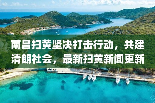 南昌扫黄坚决打击行动，共建清朗社会，最新扫黄新闻更新