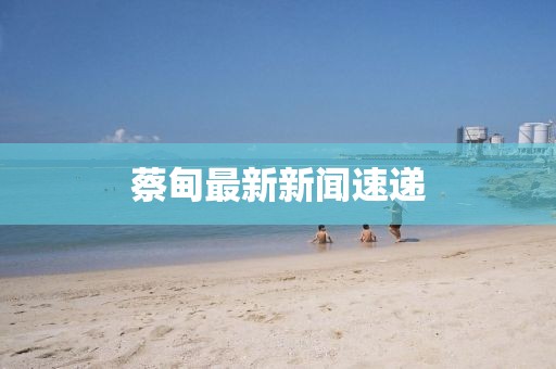 蔡甸最新新闻速递