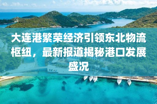 大连港繁荣经济引领东北物流枢纽，最新报道揭秘港口发展盛况
