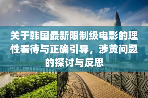 关于韩国最新限制级电影的理性看待与正确引导，涉黄问题的探讨与反思