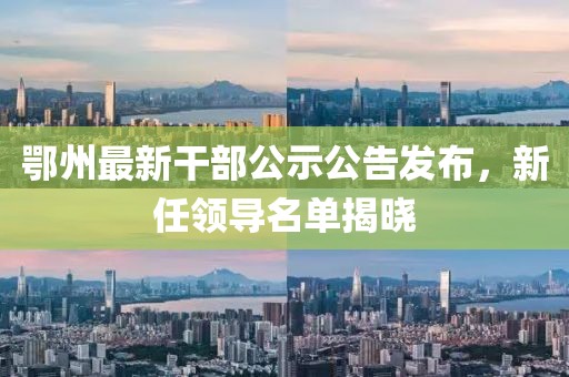 鄂州最新干部公示公告发布，新任领导名单揭晓