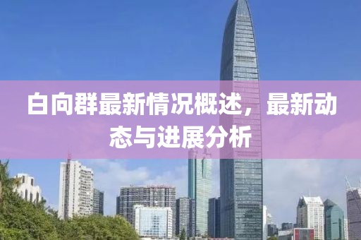 白向群最新情况概述，最新动态与进展分析