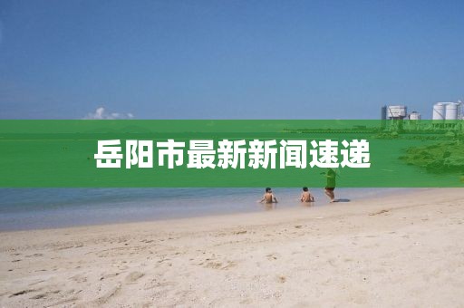 岳阳市最新新闻速递