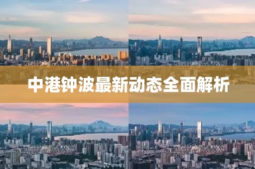 中港钟波最新动态全面解析