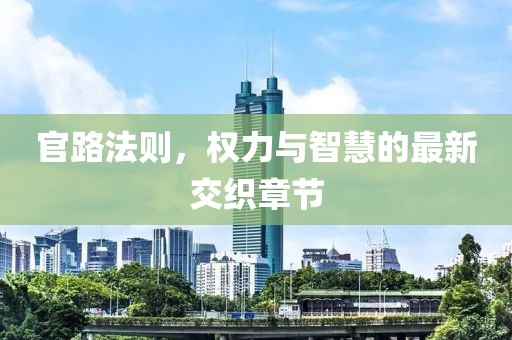 官路法则，权力与智慧的最新交织章节