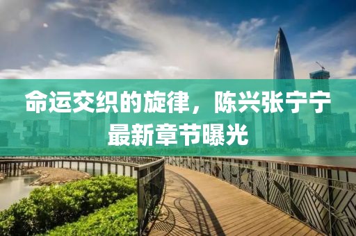 命运交织的旋律，陈兴张宁宁最新章节曝光