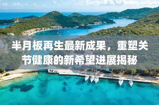 半月板再生最新成果，重塑关节健康的新希望进展揭秘