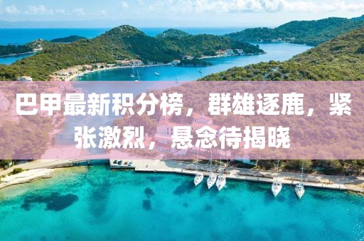 巴甲最新积分榜，群雄逐鹿，紧张激烈，悬念待揭晓