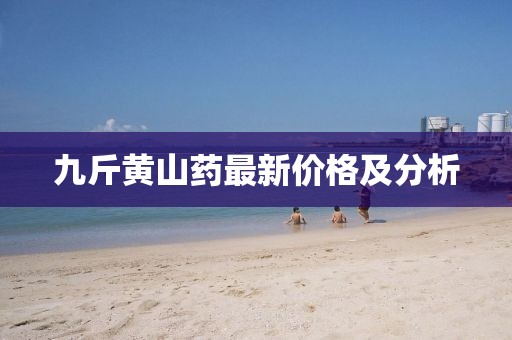 九斤黄山药最新价格及分析