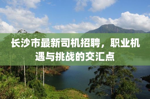 长沙市最新司机招聘，职业机遇与挑战的交汇点