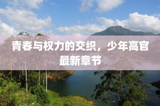 青春与权力的交织，少年高官最新章节