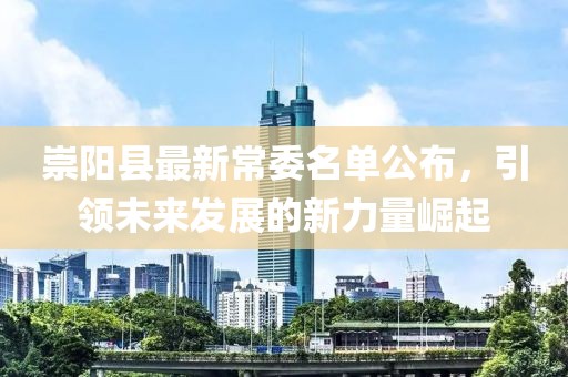 崇阳县最新常委名单公布，引领未来发展的新力量崛起