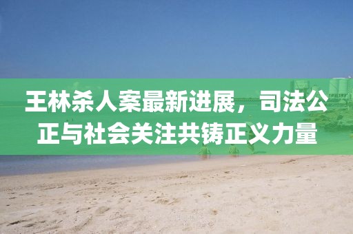 王林杀人案最新进展，司法公正与社会关注共铸正义力量