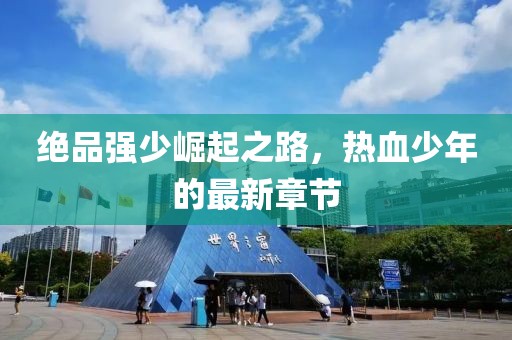 绝品强少崛起之路，热血少年的最新章节